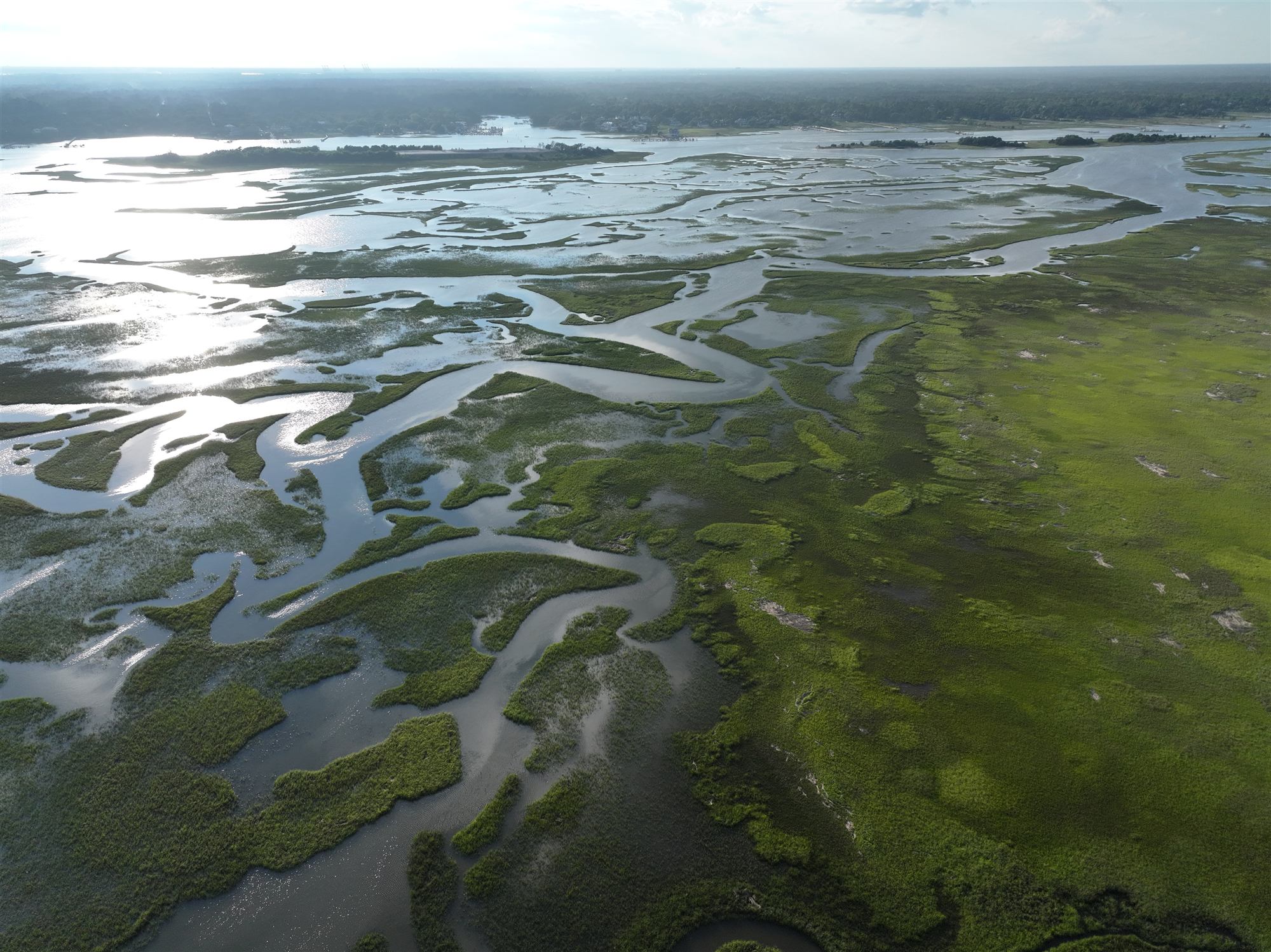 Aerial view of the salt marsh behind Masonboro Island, tidal creeks catching the evening light